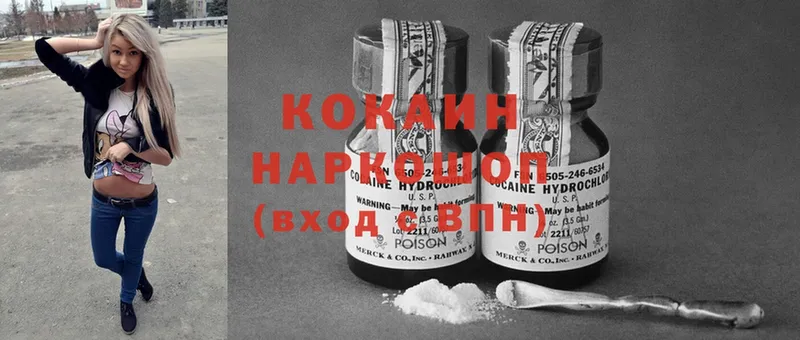 Cocaine FishScale  наркошоп  Куртамыш 